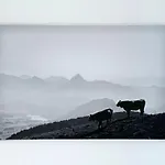 Sonnenhof Seeg 10 Διαμέρισμα Seeg